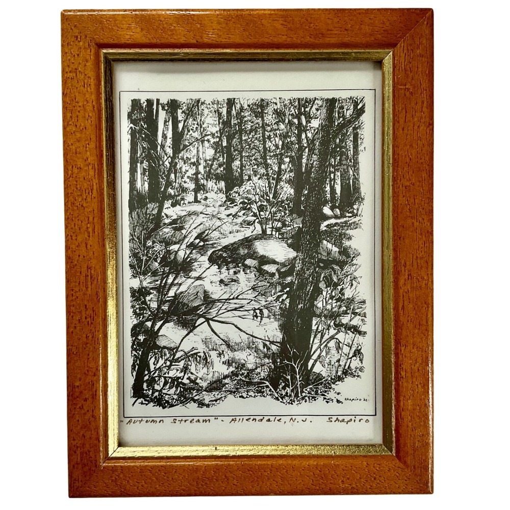 VTG 1982 Joan Shapiro Autumn Stream Allendale NJ Pen Ink Signed Framed Art Decor